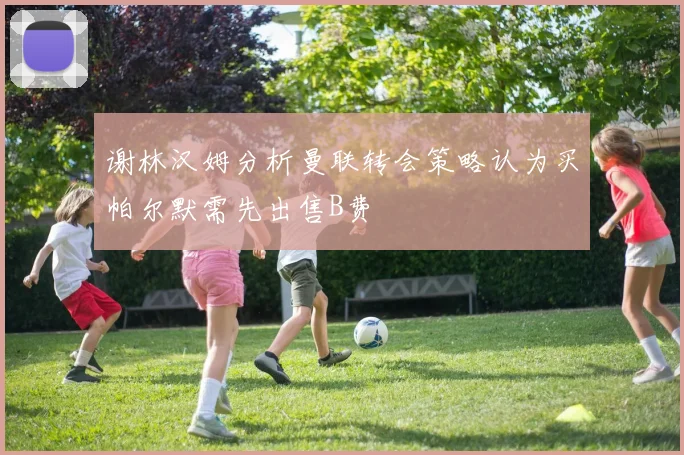谢林汉姆分析曼联转会策略认为买帕尔默需先出售B费